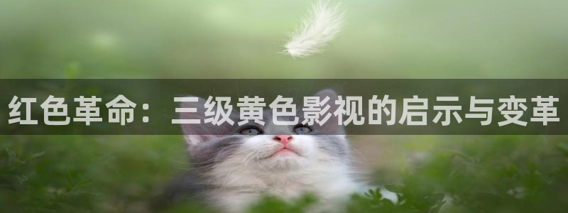 倫理影院在線