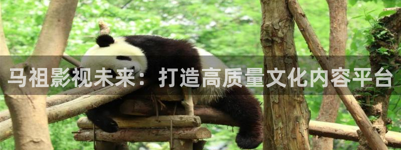 倫理影片在線網站：馬祖影視未來：打造高質量文化內容平臺