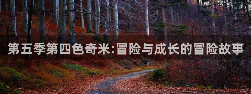 第一倫理影院